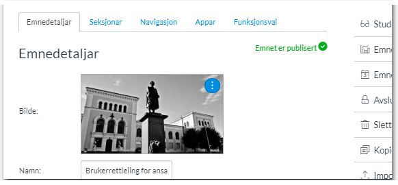 Skjermdump av fanene i emneinnstillinger som beskrevet over.