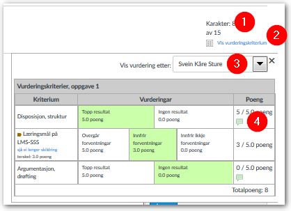 Vurderingsskjema slik det ser ut for en student, med henvisning til tallene over.