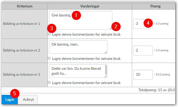 Skjermdump av vurderingsskjema som fylles ut.