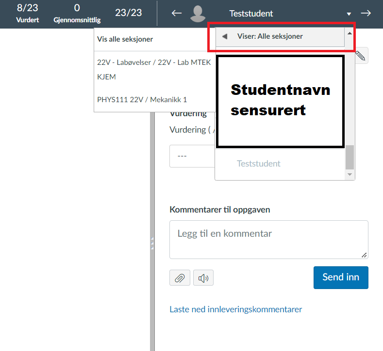 Skjermbilde av hvordan man kan velge å se kun en eller alle seksjoner i SpeedGrader.