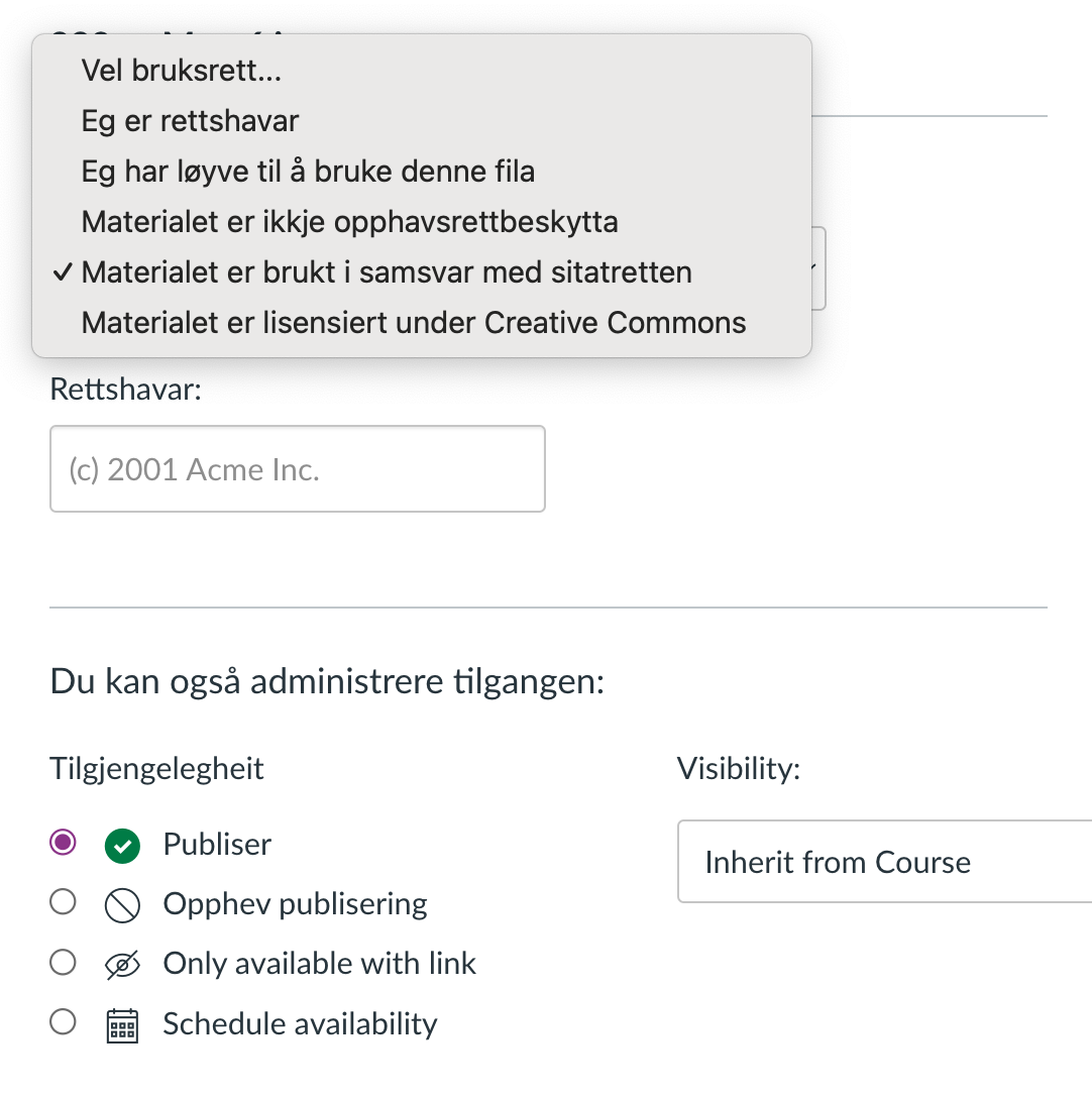 Skjermdump av "Administrere bruksrettar"-menyen i filer.