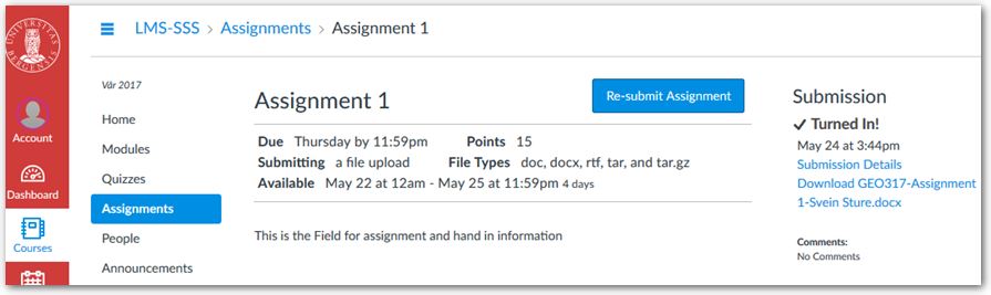 Screen shot showing the menu for re-submitting an assignment in a Mitt UiB subject